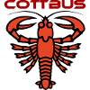 Der Cottbuser Krebs