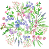 Blumenwiese