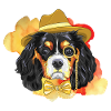 Chien design original