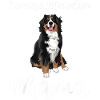 Bernese Mama