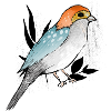 Bird with polka dots