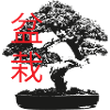 Small Bonsai Black White