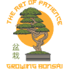 The Art Patient Bonsai Plants