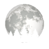 Moon Forest