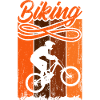MOUNTAIN BIKE DOWNHILL VTT