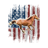 USA Flag