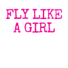 Pilot Aviation Flying