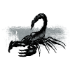 Scorpio Black White Contrast-design
