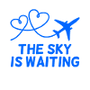 Airplane Pilot Saying Gift