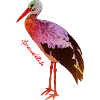 Stork - Spreewaldliebe