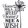Some see a weed some