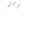Wander woman