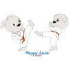 Happy Louis - KARATE DUO