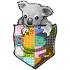 Baby koala in the pocket