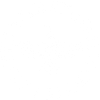 White Viking Raven