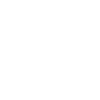Basketball Evolution