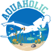 Diver Diving