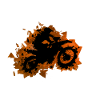 Motorcross Braun
