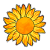 Sun Sunflower