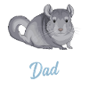 Chinchilla Dad Dad Gift