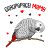 Graupapagei