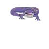 Tail-lurch newt salamander