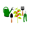 Tomaten und Tomate Spruch