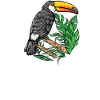 Toucan Costa Rica tokansk tropisk fågel karibiskt motiv