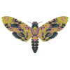 Skull swarmer