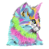Katze bunt