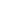 THE WALKING DAD