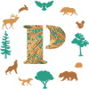 forest e 95 p