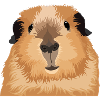 Peanut Guinea Pig Clothing