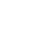 Hammer Craftsman