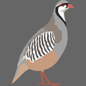 Steinhuhn