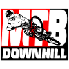 Downhill - MTB - Mountain biker