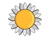 Flower Daisy
