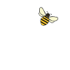 beekeeper