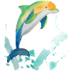 21 Dolphin