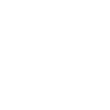 Staffordshire Bullterrier sombre