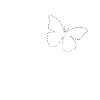 AllMyDreamsComeTrue