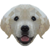 Chien Labrador Polygone