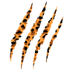 Leopard Claw