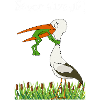 Never give up!