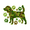 Beagle camouflage hunting dog