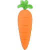 carrot