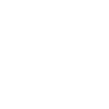 Hundetrainer Hundetraining Hund