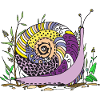 escargot