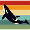 Orca