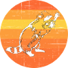 raccoon